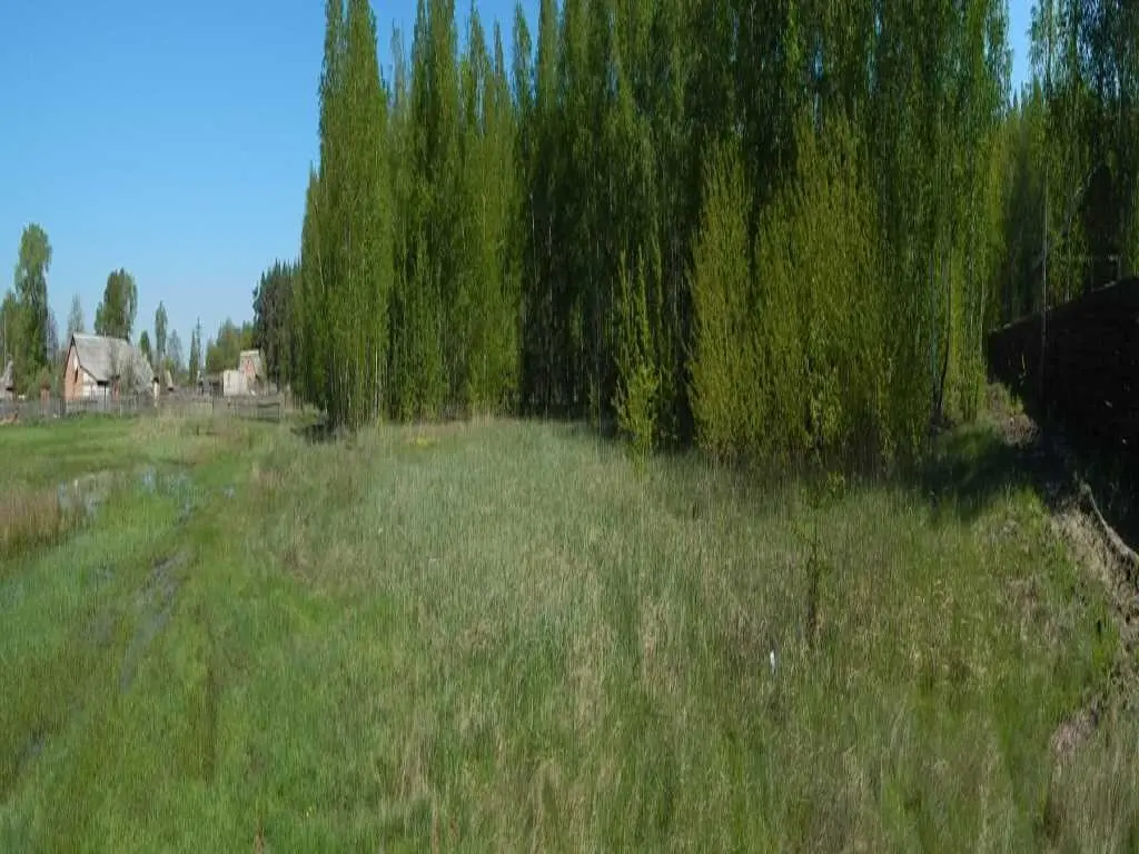  Пропонуємо земельну ділянку 10 с під житлову забудову в с.  Головач.