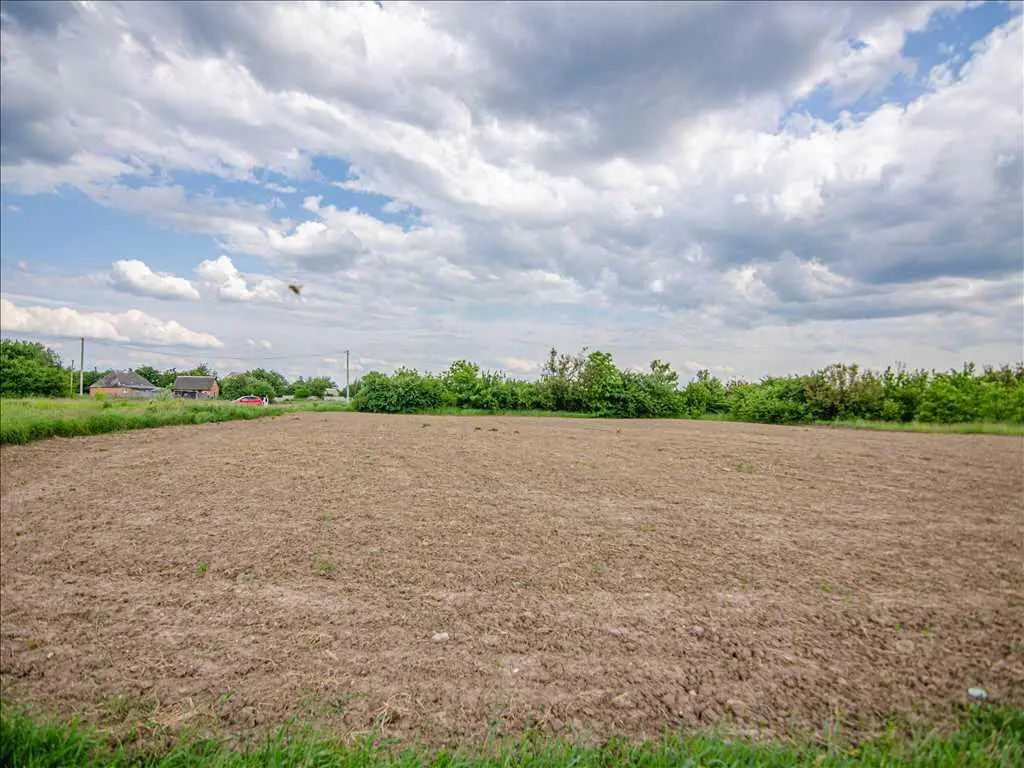 Бюджетна земельна ділянка в Рибцях 