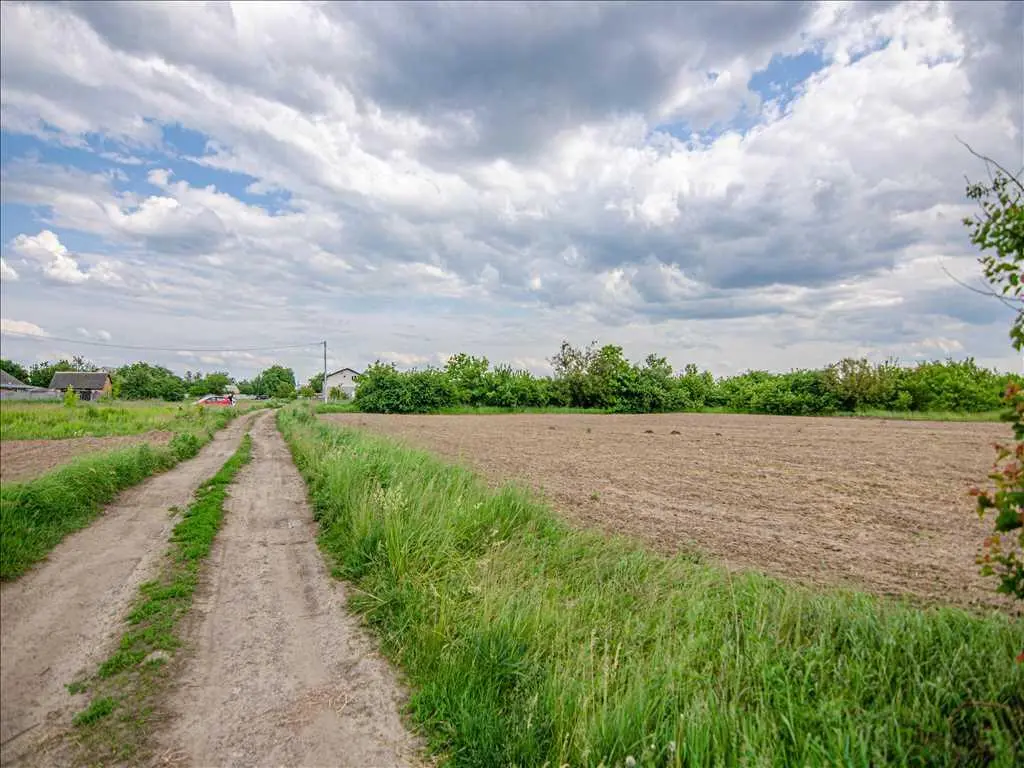 Бюджетна земельна ділянка в Рибцях 