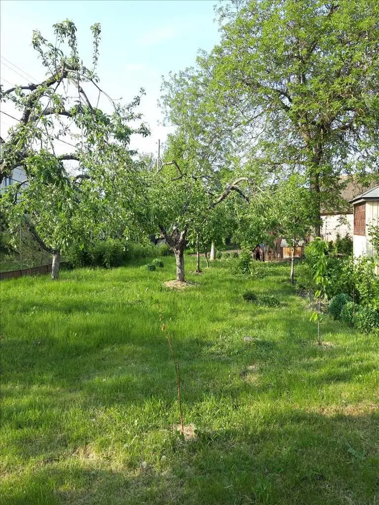 Продам окремий будинок в селі Мильці