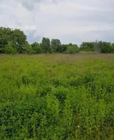  Продається ділянка 10 соток під забудову, с. Івонченці