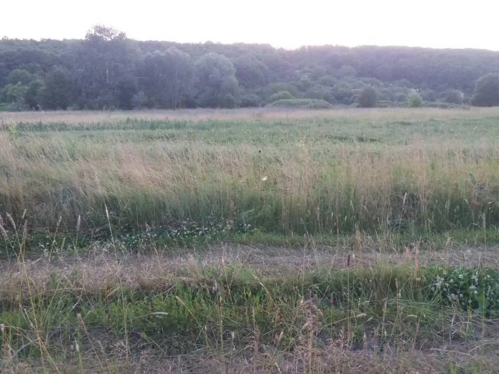 Хочеш побудувати дачу біля річки та не далеко від міста?