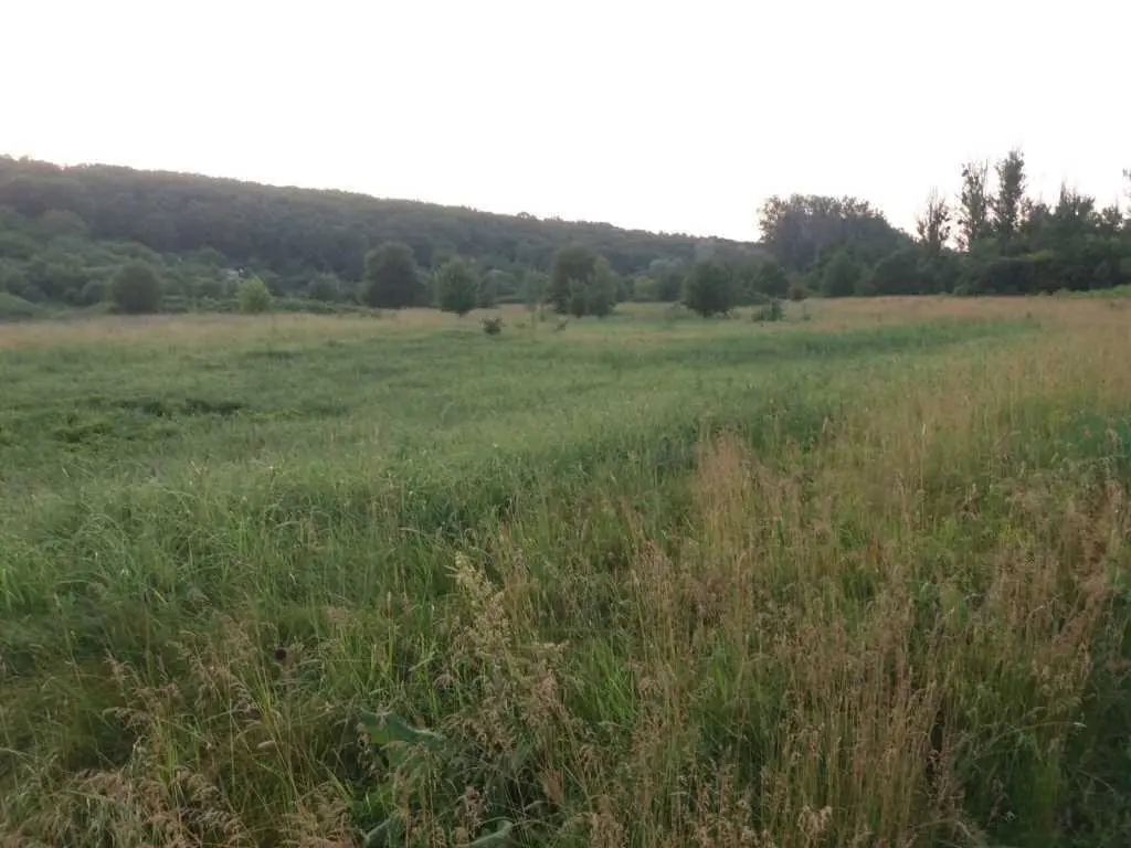 Хочеш побудувати дачу біля річки та не далеко від міста?