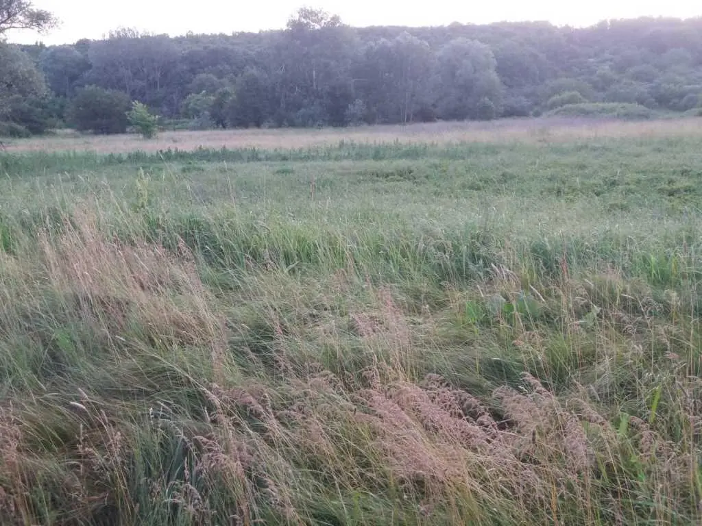 Хочеш побудувати дачу біля річки та не далеко від міста?