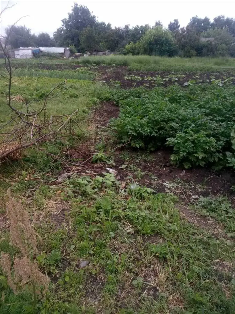 Бюджетний будинок в Рунівщині! 