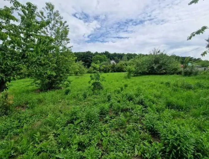 Продаж земельної ділянки в с. Малий Тростянець