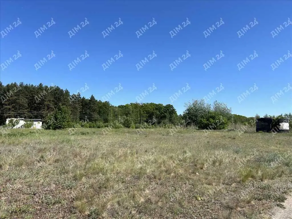 Земельна ділянка поруч з лісом та водоймою