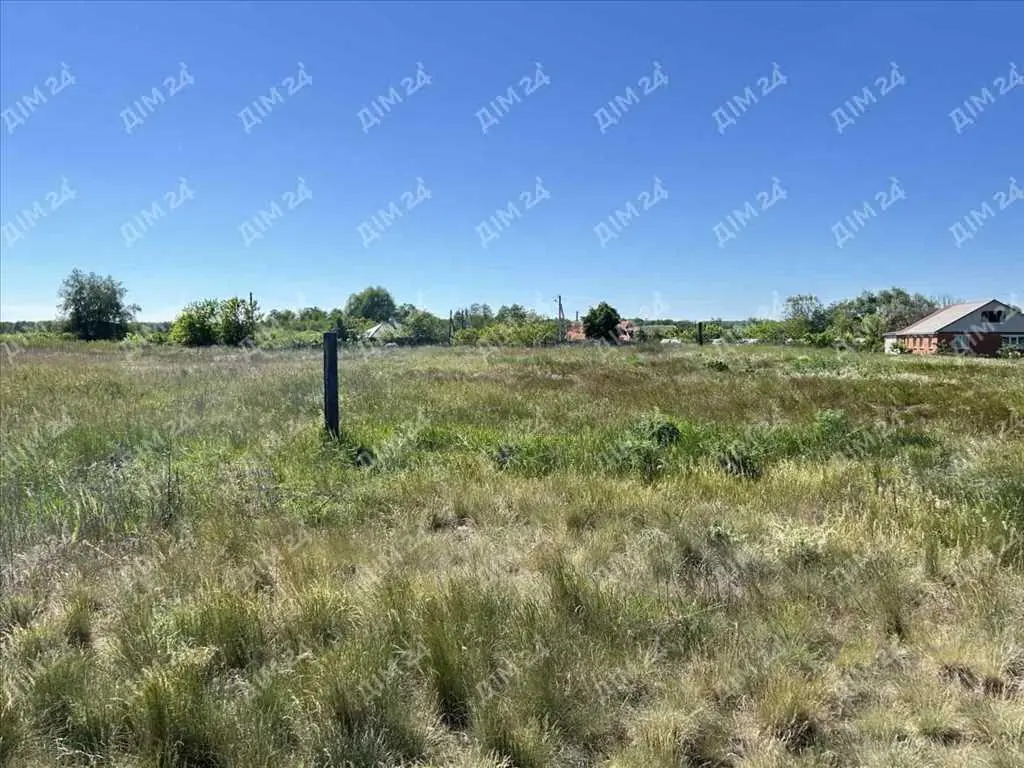 Земельна ділянка поруч з лісом та водоймою