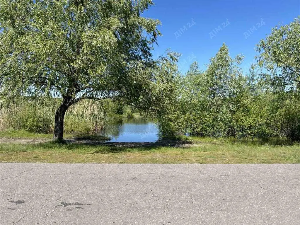 Земельна ділянка поруч з лісом та водоймою