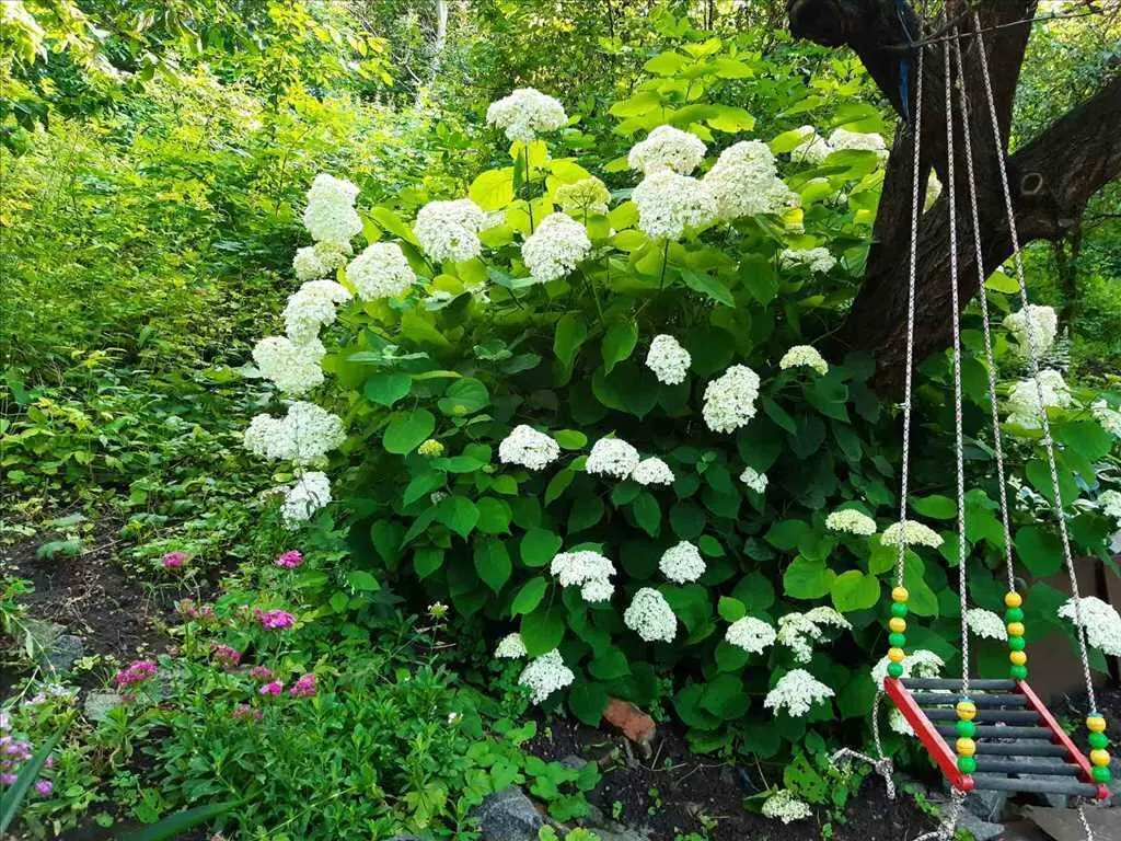 Цікава і перспективна пропозиція в історичному Подолі. 