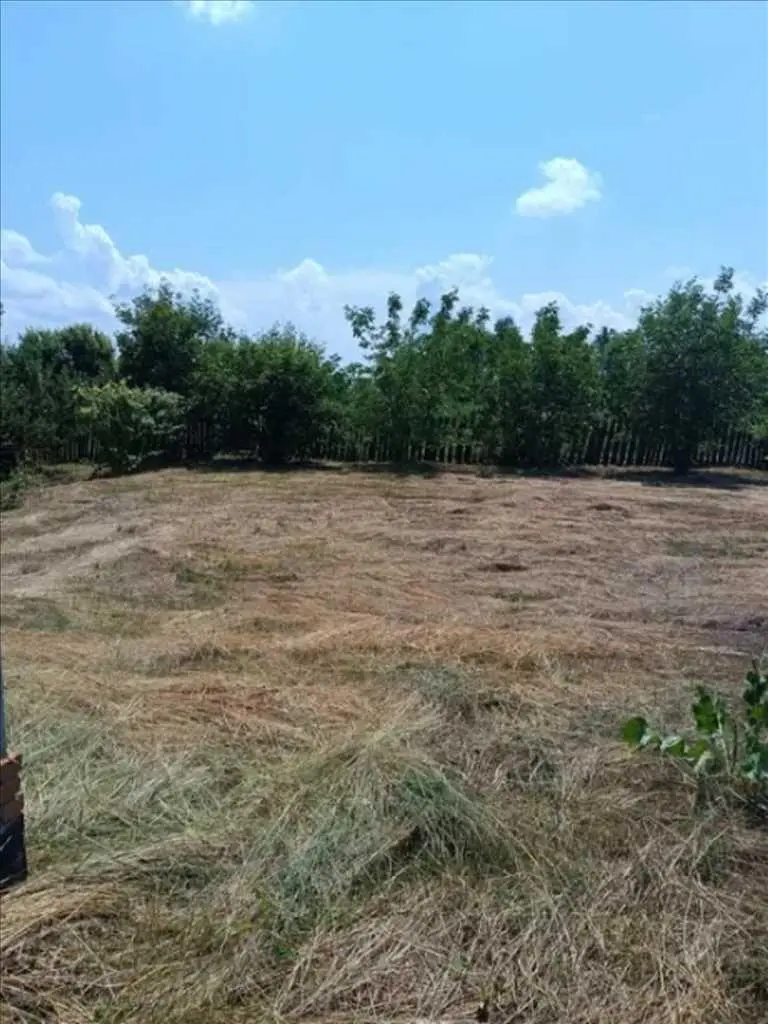 Земельна ділянка 30+25 сотих  в передмісті Полтави