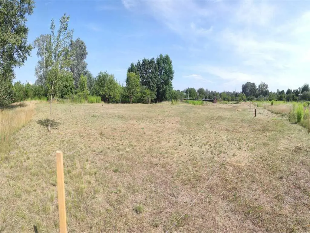 Вороніна. Чотири ділянки в гарній локації.