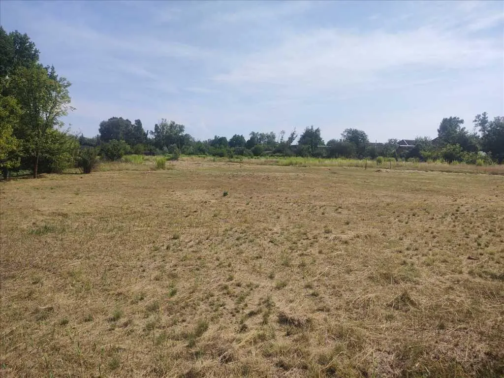 Вороніна. Чотири ділянки в гарній локації.