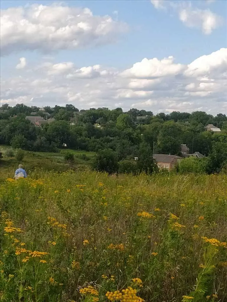 Земельна ділянка в мальовничому місці Полтави