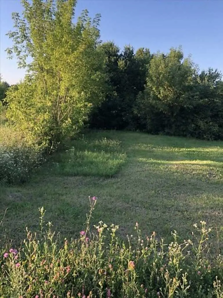 Івонченці. Час будувати власний будинок.