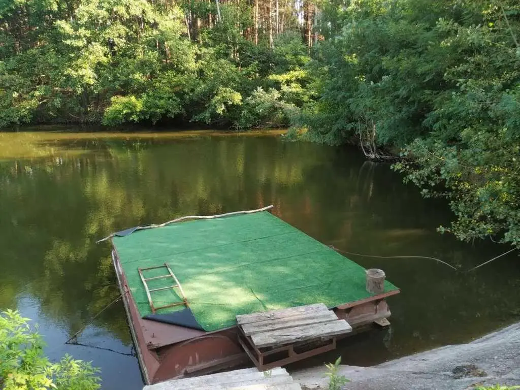 Річка, ліс, тиша та наш будинок!