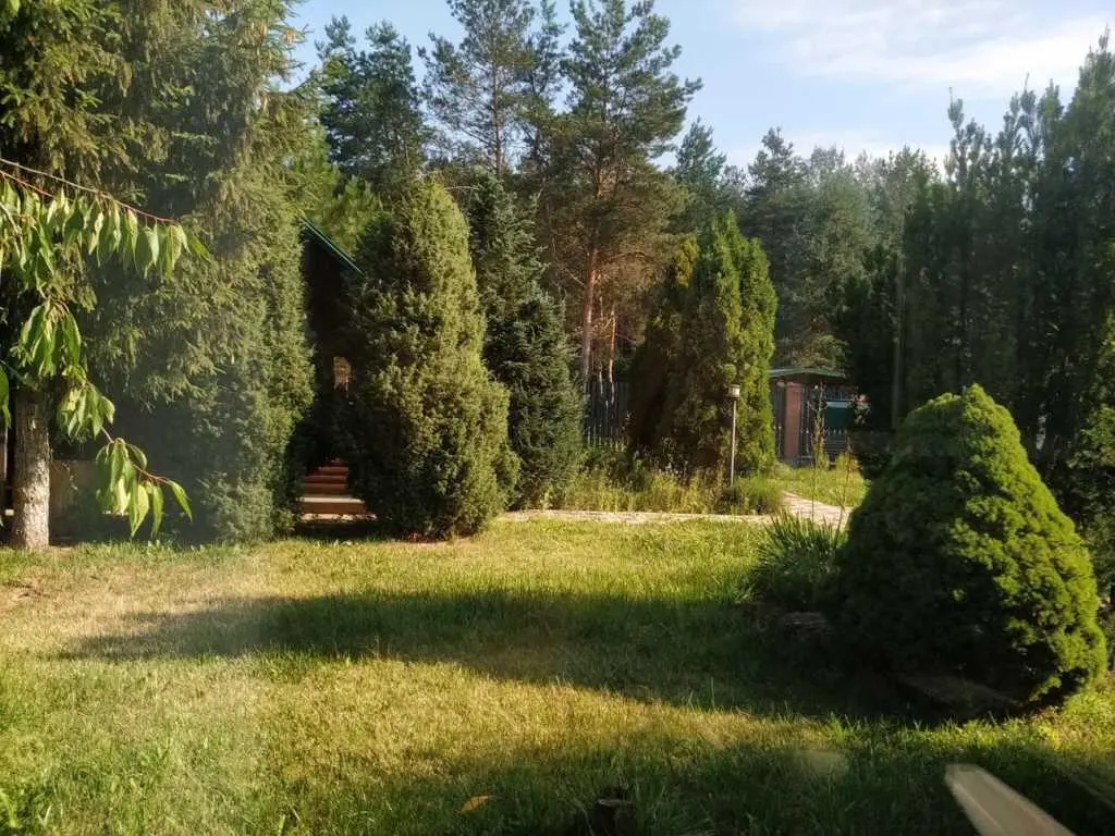 Річка, ліс, тиша та наш будинок!