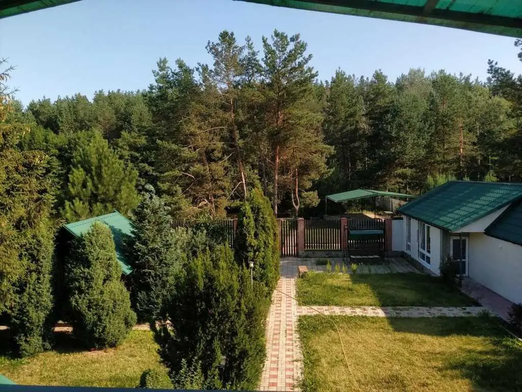 Річка, ліс, тиша та наш будинок!