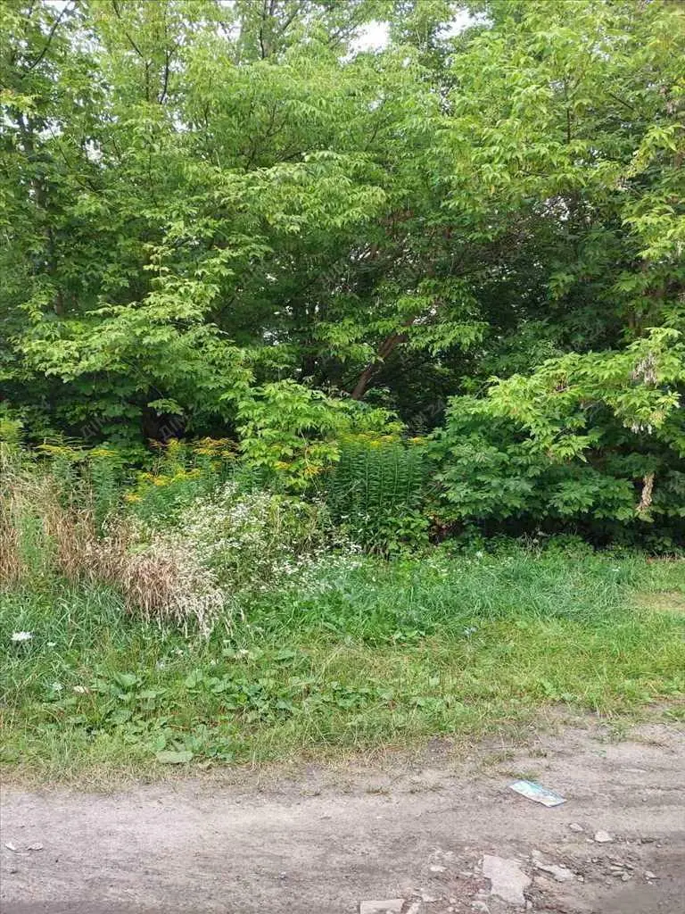 Ділянка під забудову на Крутому березі.