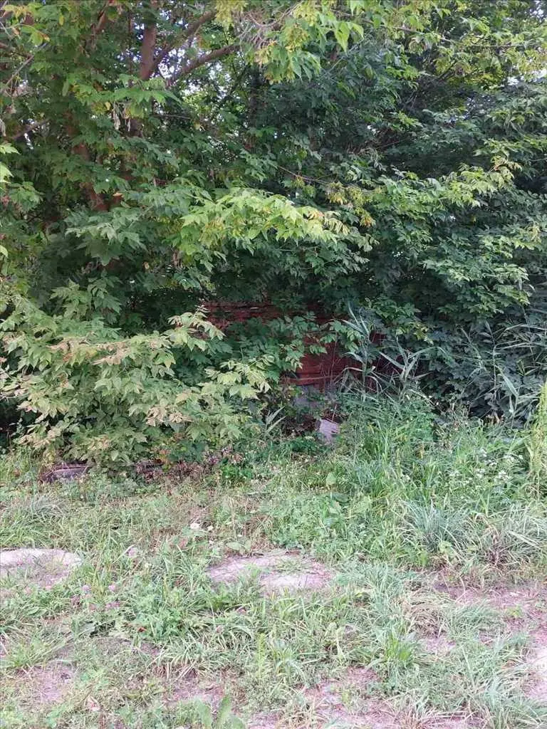 Ділянка під забудову на Крутому березі.