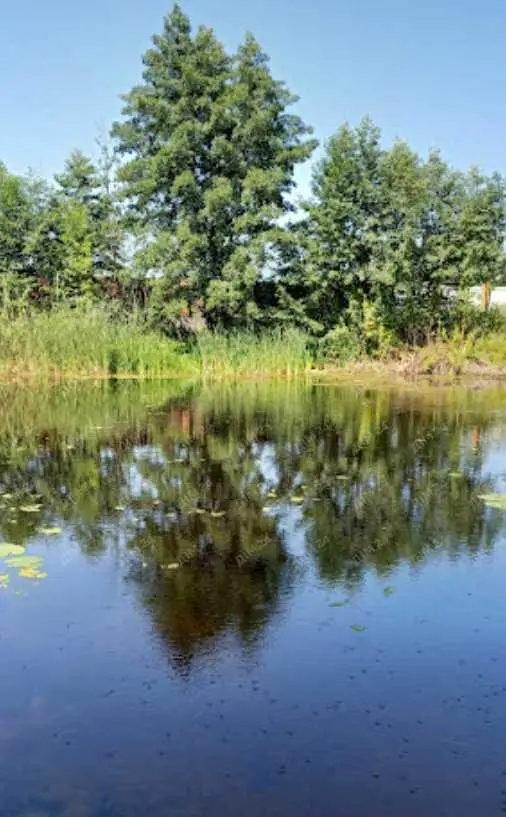 Ділянка з виходом до Коломаку в Затуріно! 