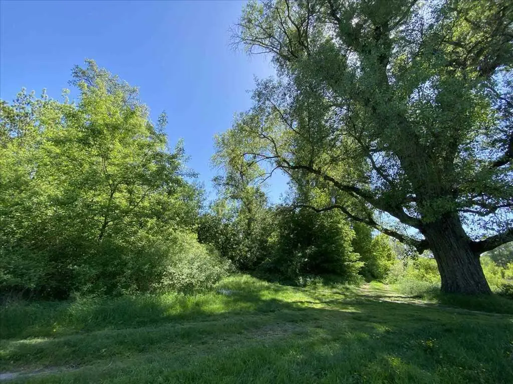 Земельна ділянка в мальовничому місці!