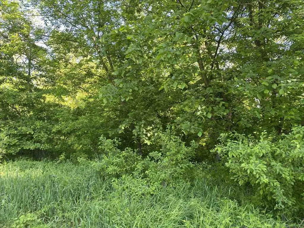 Земельна ділянка в мальовничому місці!