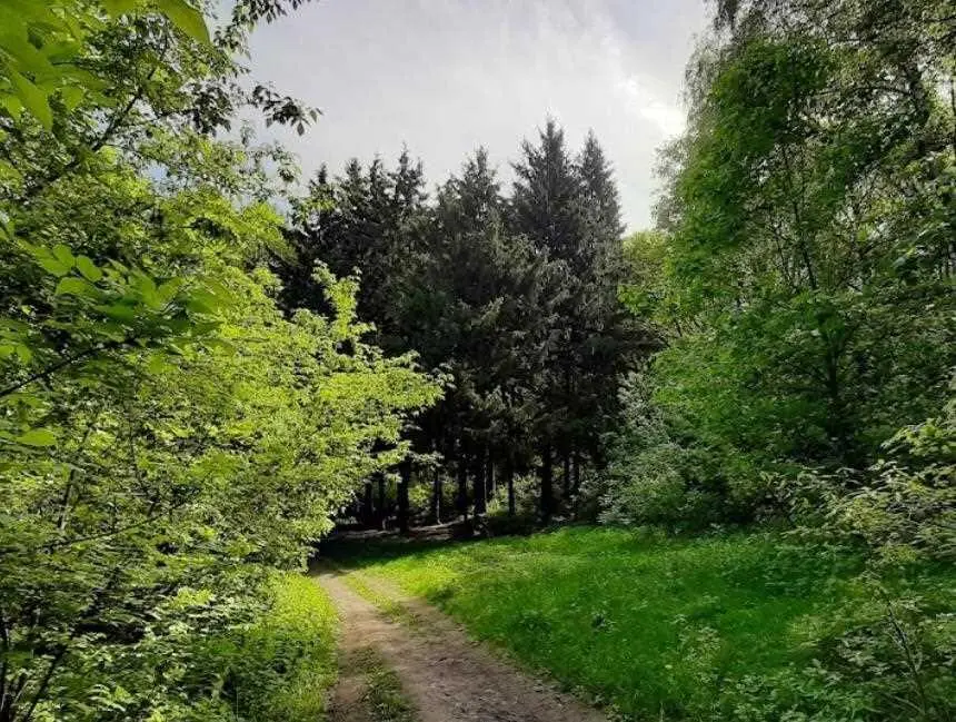 Земельна ділянка в мальовничому місці!