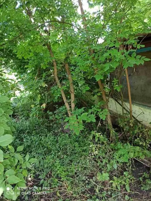 Продаж 25 соток землі в с. Коломацьке