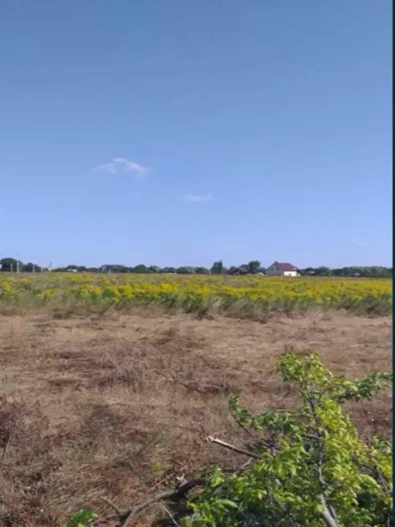 У продажу ділянка в с.Івонченці