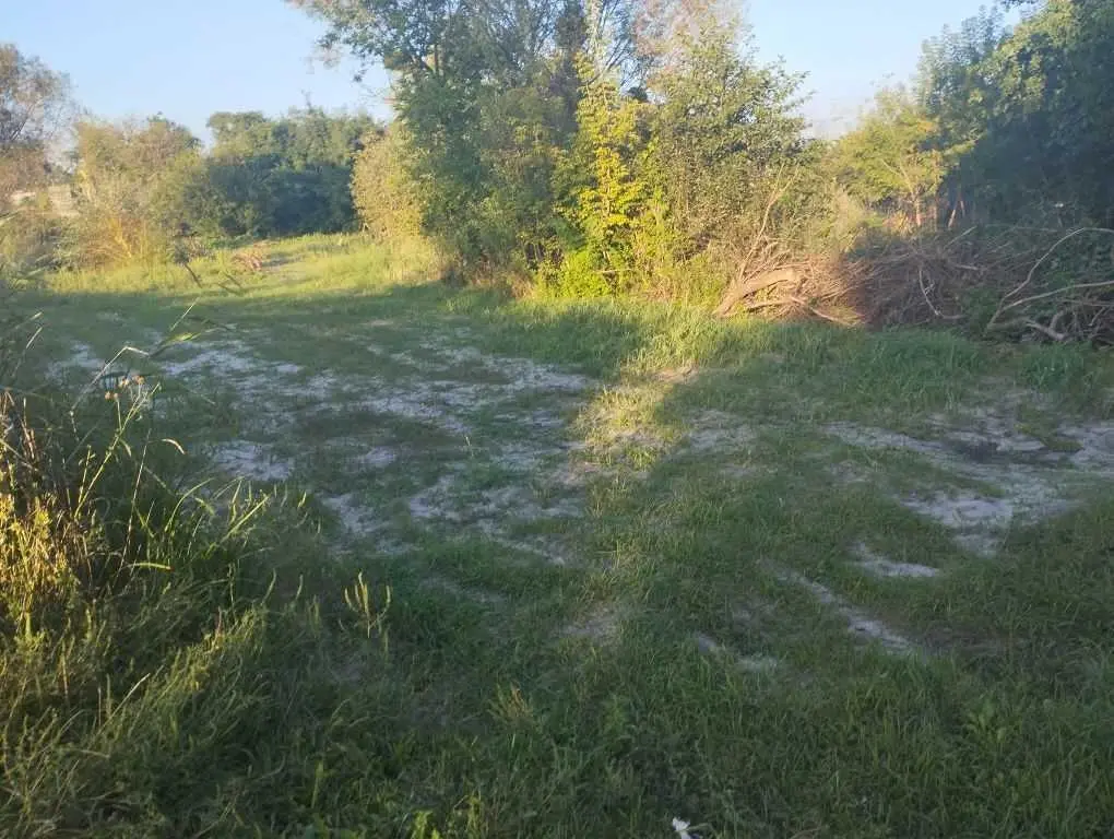 Ділянка з видом на ліс! 