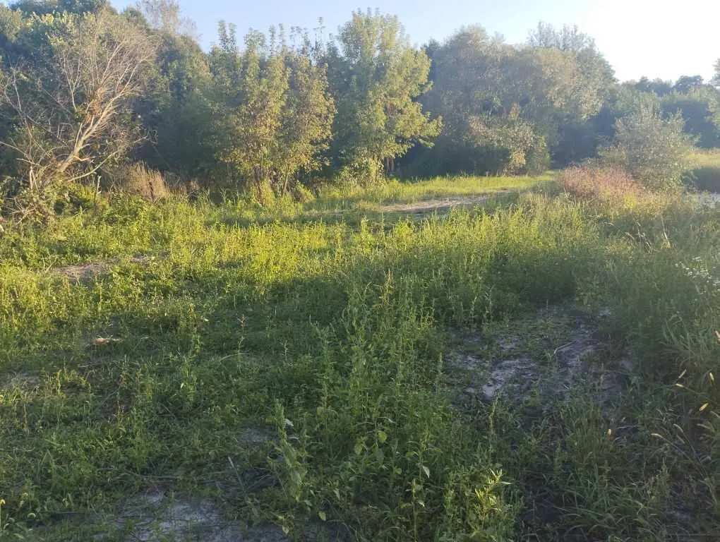 Ділянка з видом на ліс! 