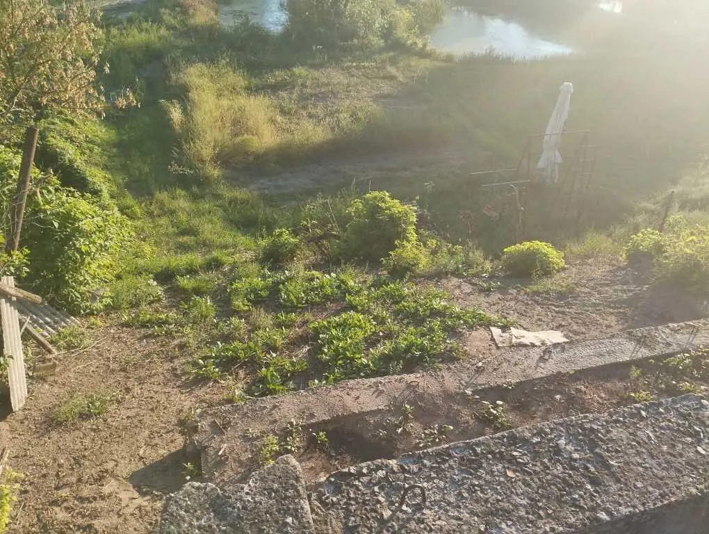 Ділянка з видом на ліс! 