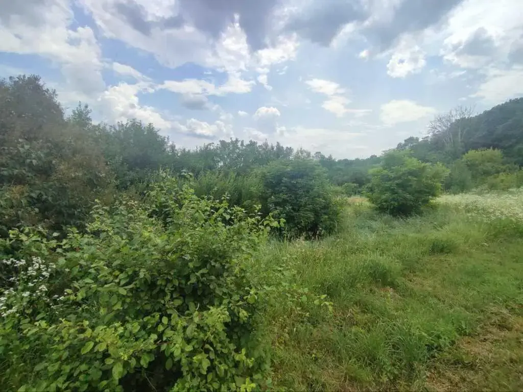 Видова ділянка в Гавронцях! 