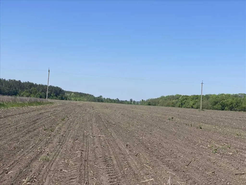 Діляна в мальовничому місці!