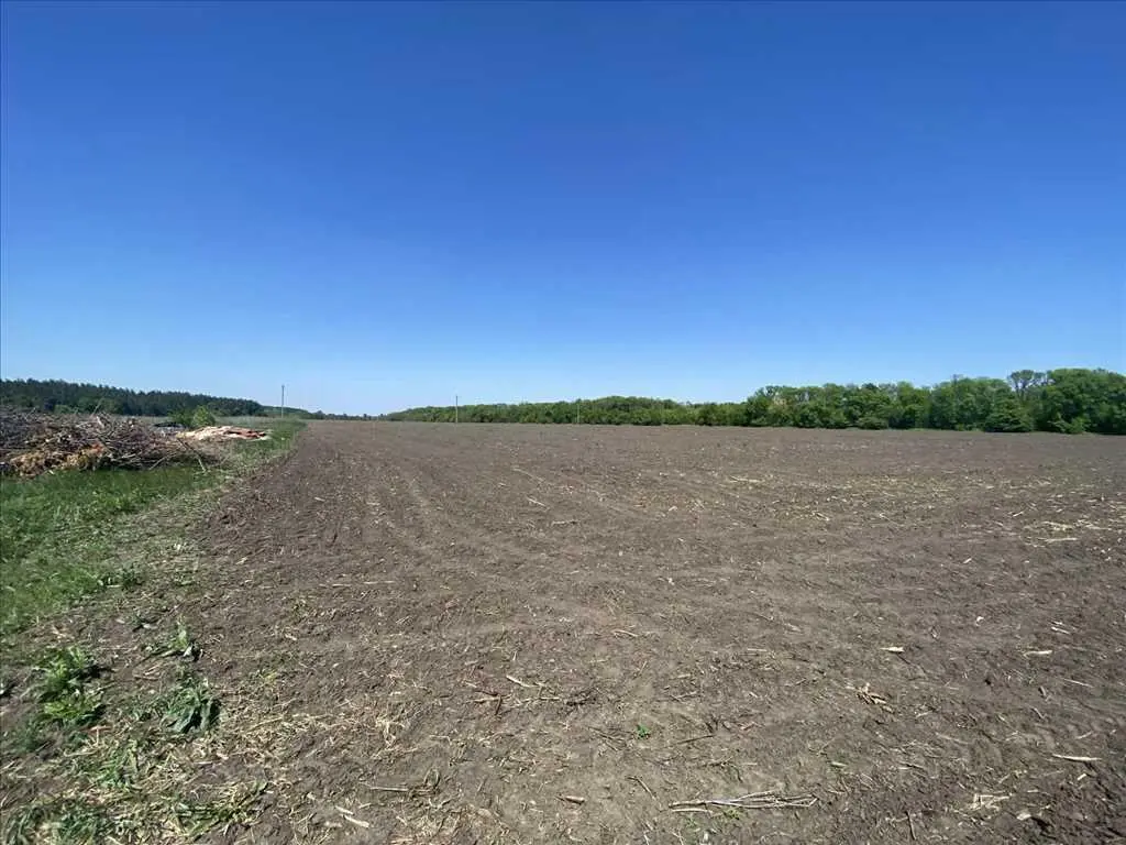 Діляна в мальовничому місці!