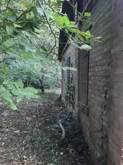  Пропонуємо вашій увазі земельну ділянку 10 соток у селі Петрівка