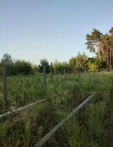 Продаж земельної ділянки для будівництва в передмісті Полтави