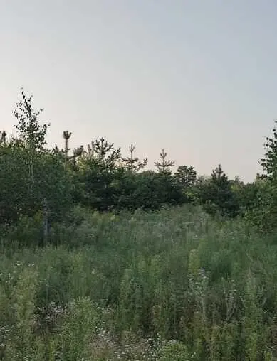 Продаж земельної ділянки для будівництва в передмісті Полтави