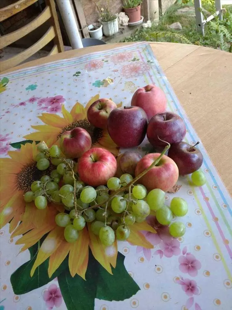 Сучасний будинок в центральній частині міста!