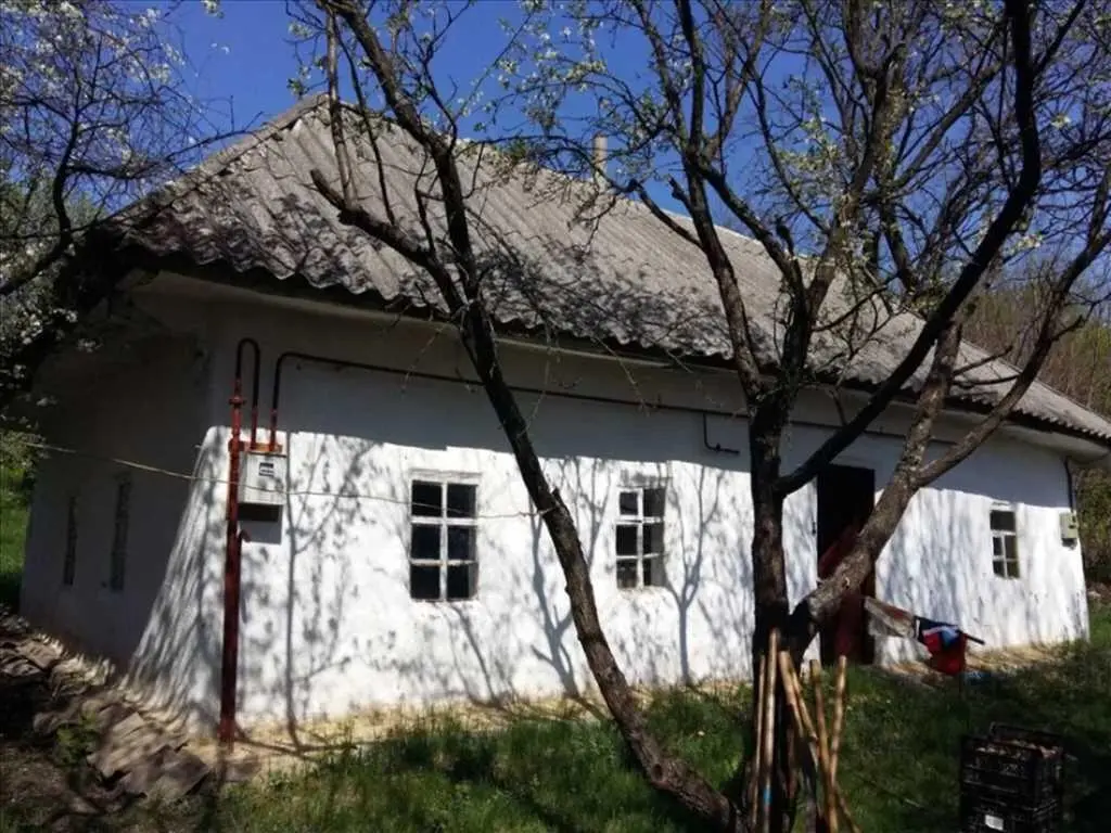 Ділянка в Решетилівському районі