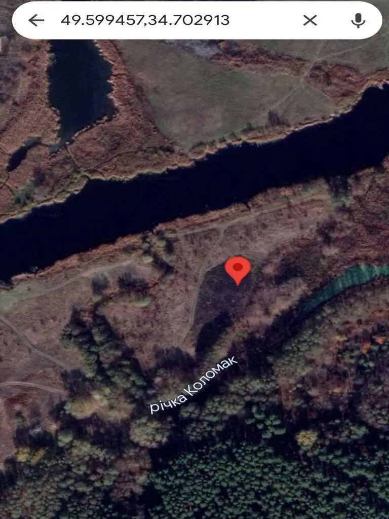 Велика земельна ділянка для бізнесу біля річки та хвойного лісу!