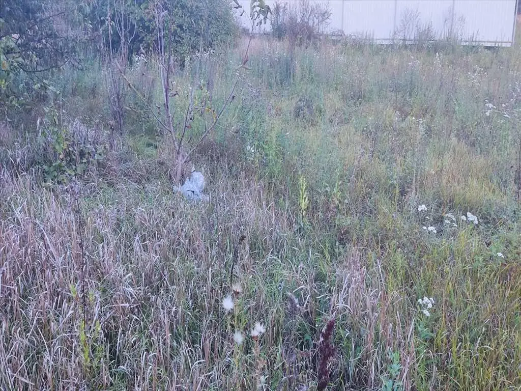 Чудова земельна ділянка під забудову в передмісті Полтави