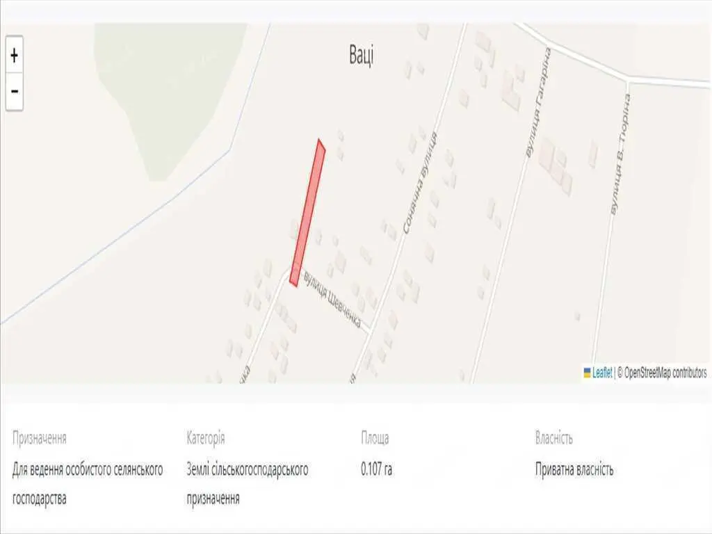 Землі сільськогосподарського призначення в с.Ваці. 