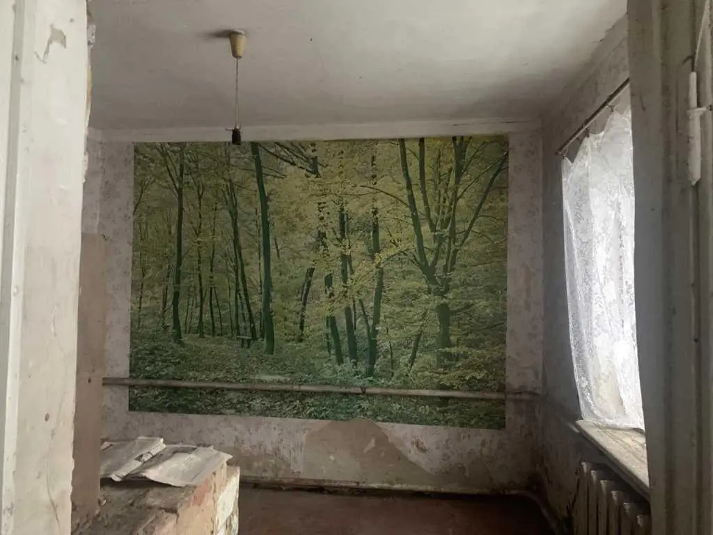 Окремий будинок ро низькій ціні. 