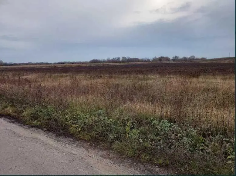 Вигідна пропозиція для аграріїв! Земельна ділянка сільськогосподарського призначення.
