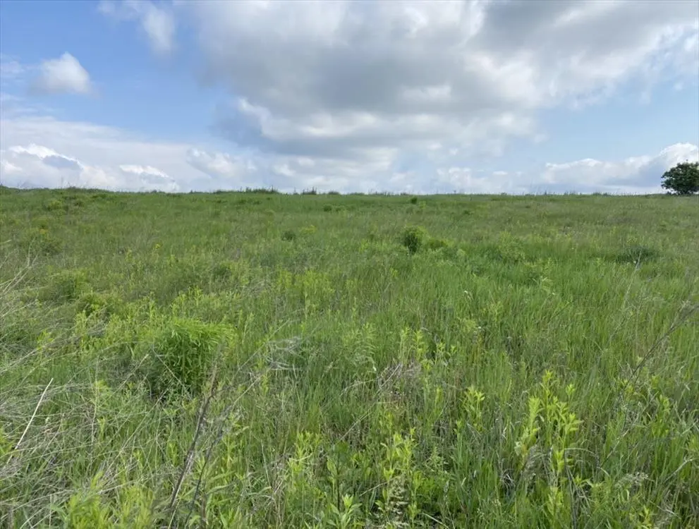 Ділянка в Щербанях 