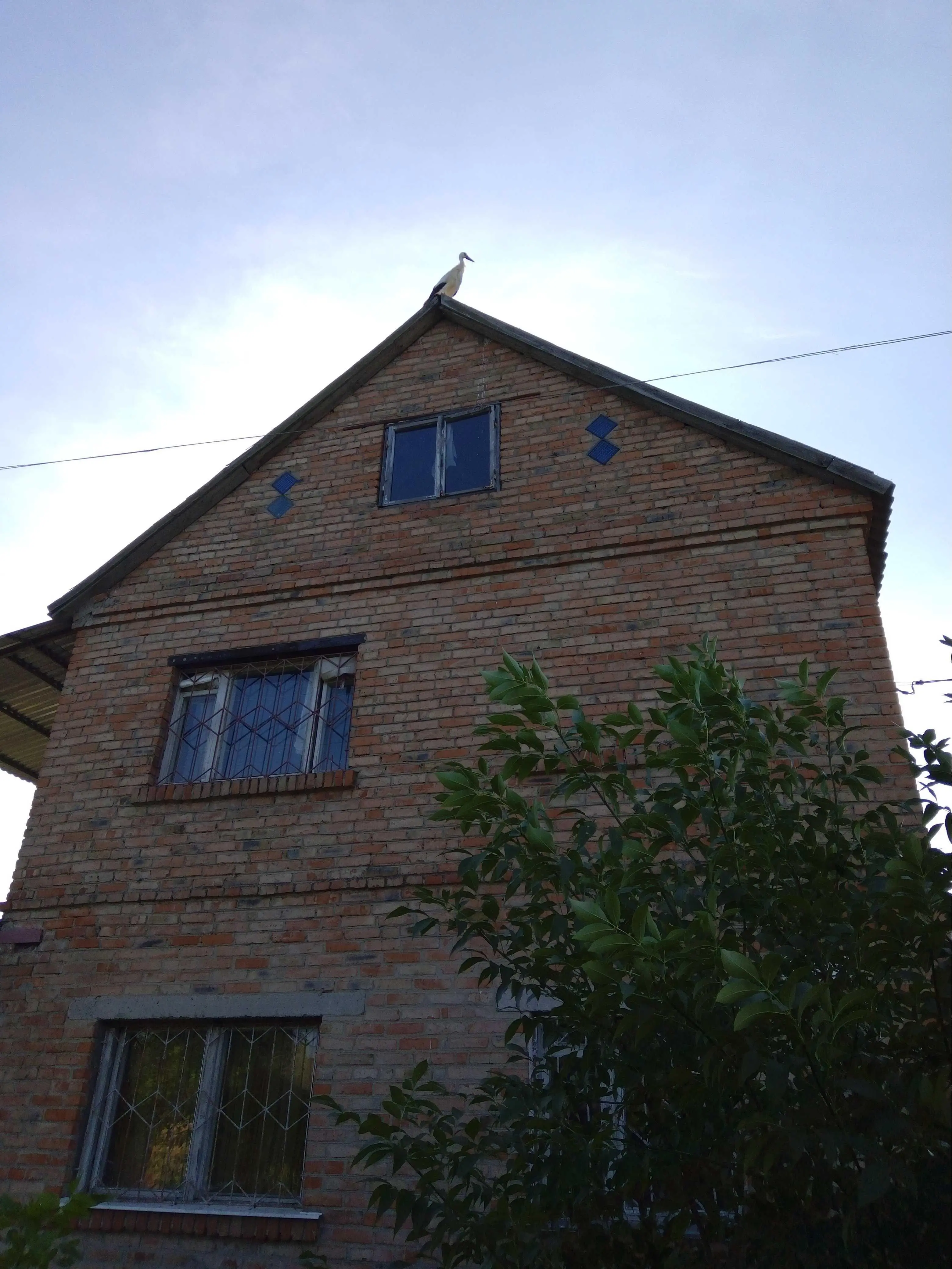 Будинок для відпочинку поруч з сосновим лісом 