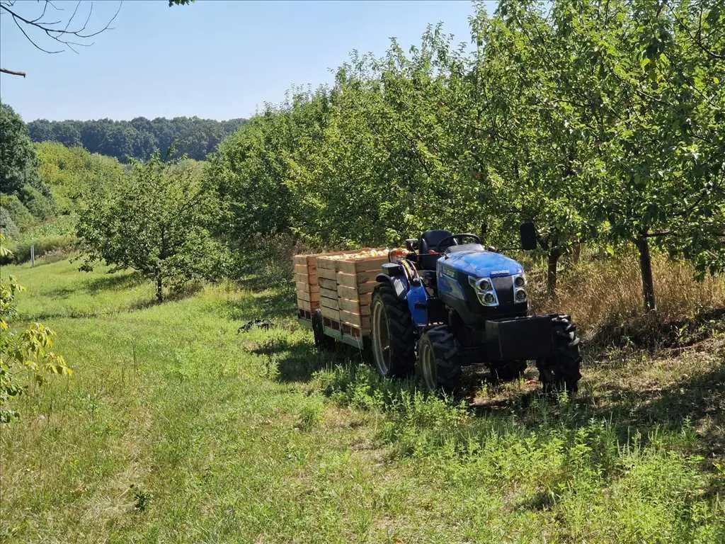 Яблучний сад по ціні квартири! 