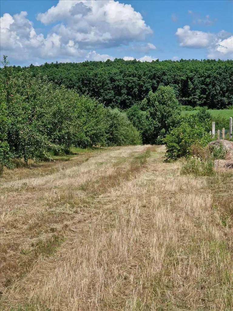 Яблучний сад по ціні квартири! 